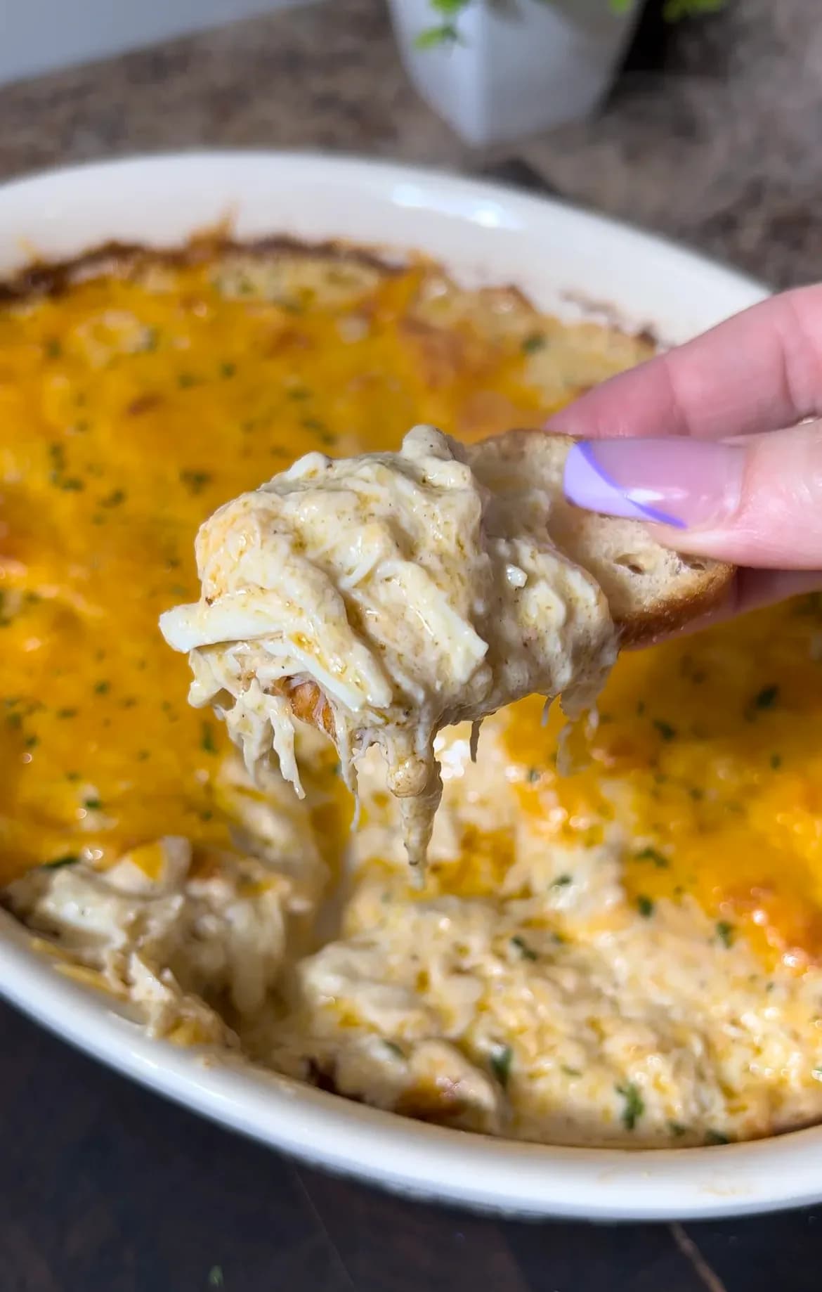 Picture of Crab dip 