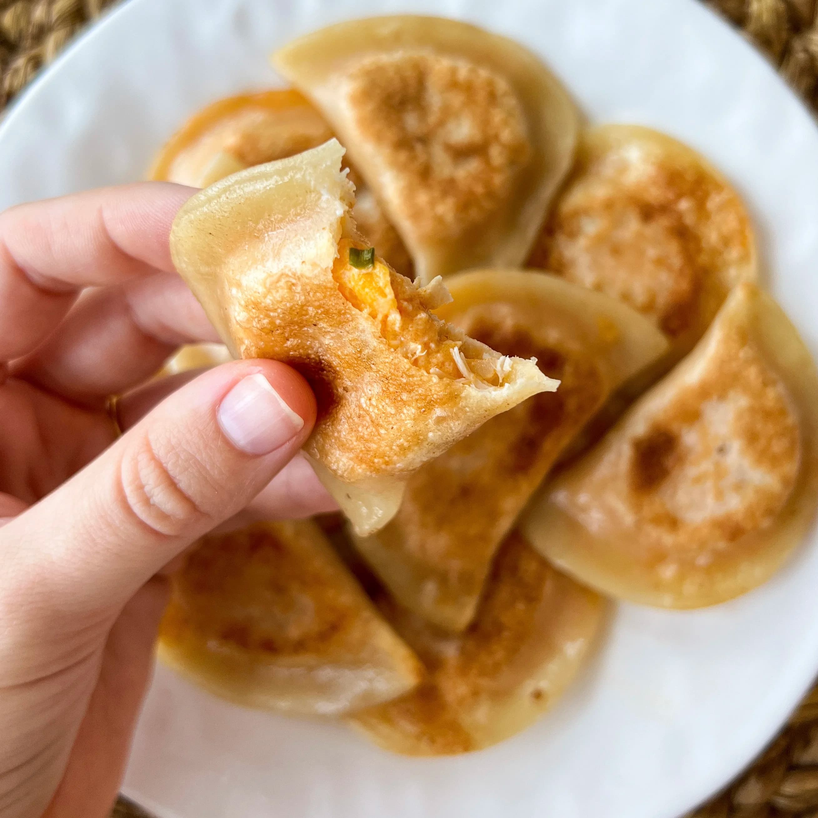 Picture for Buffalo Chicken Pierogi