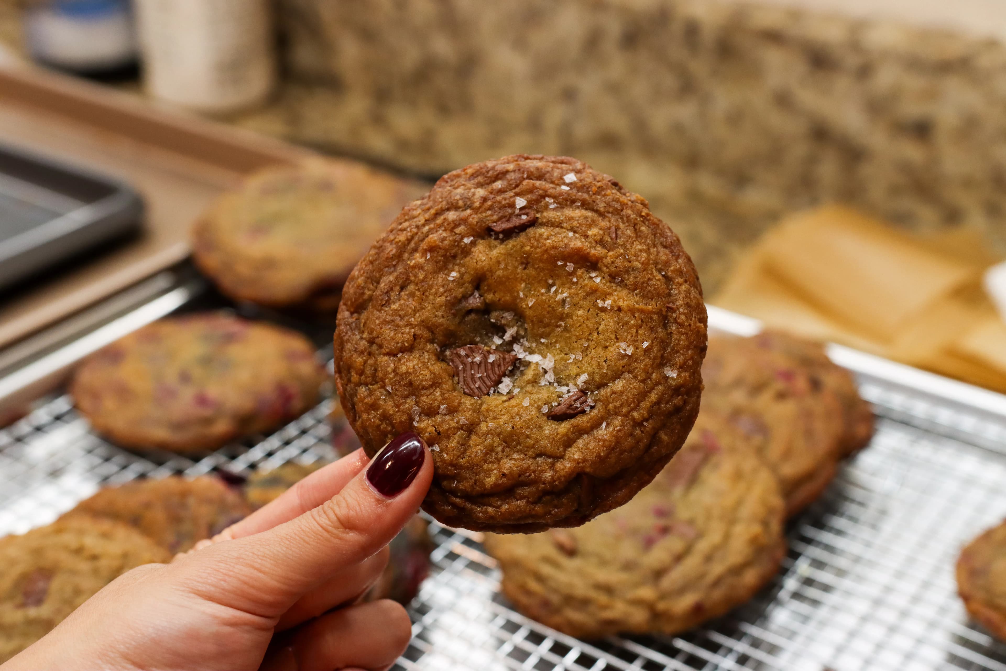 Picture for Malted Milk Chocolate Chip Cookie