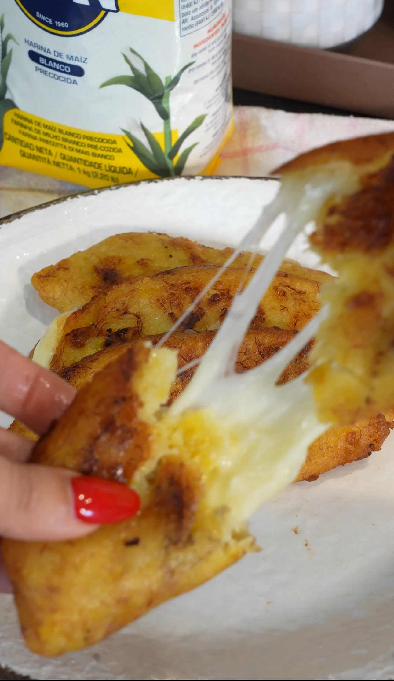 Picture for Cheesy Plantain Empanadas 