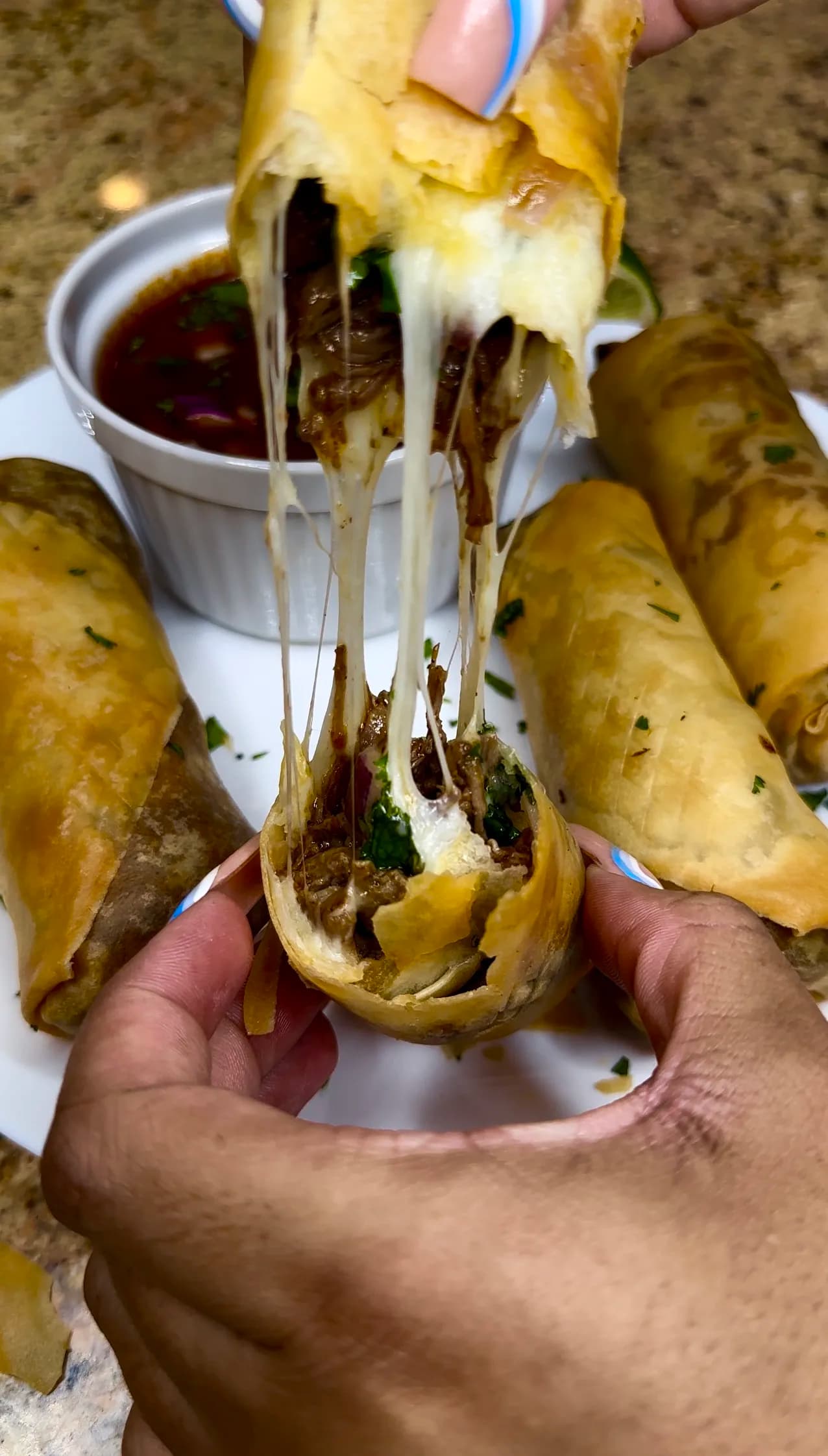 Picture for Birria Eggroll Recipe