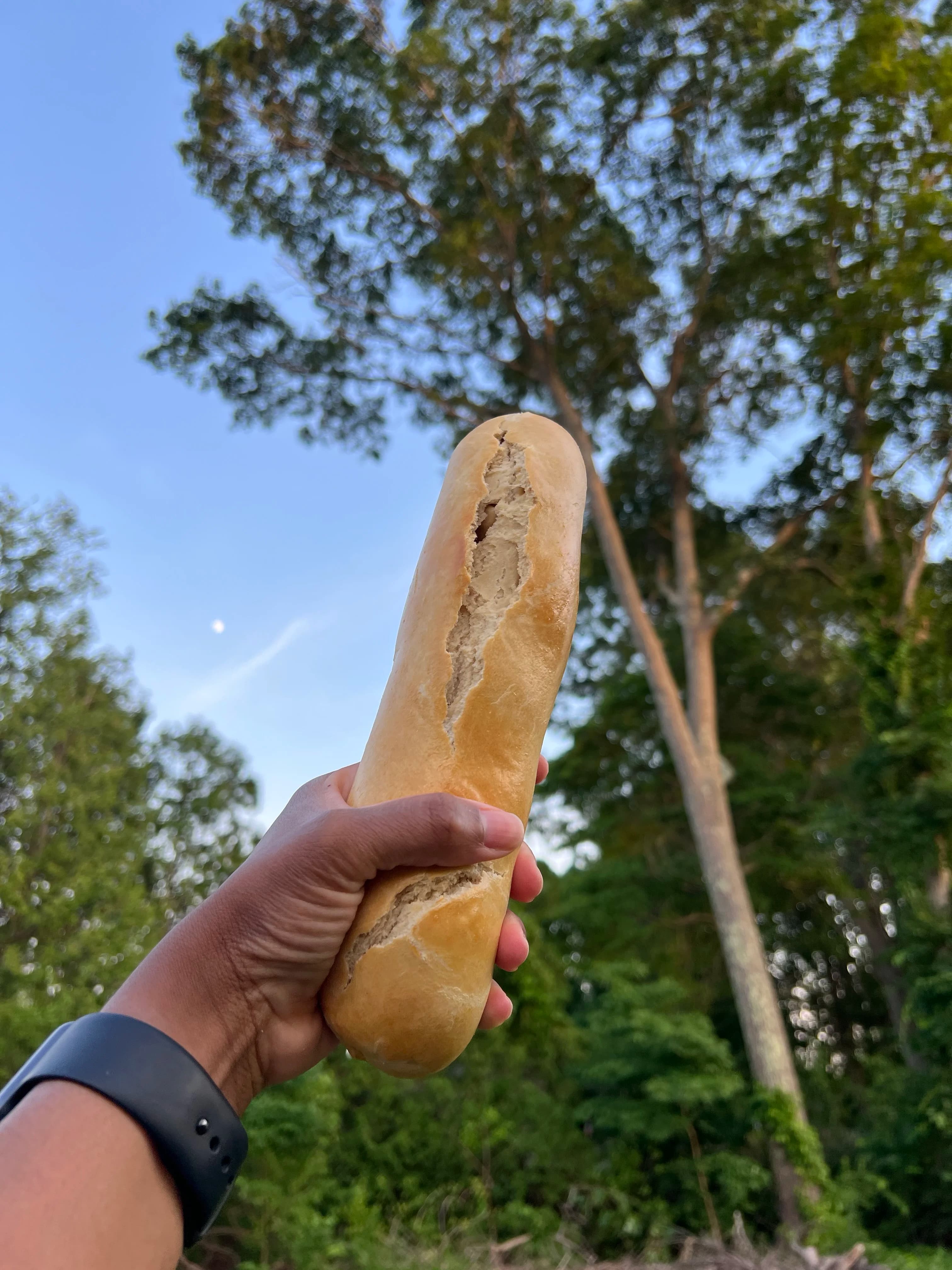Picture for Haitian Bread