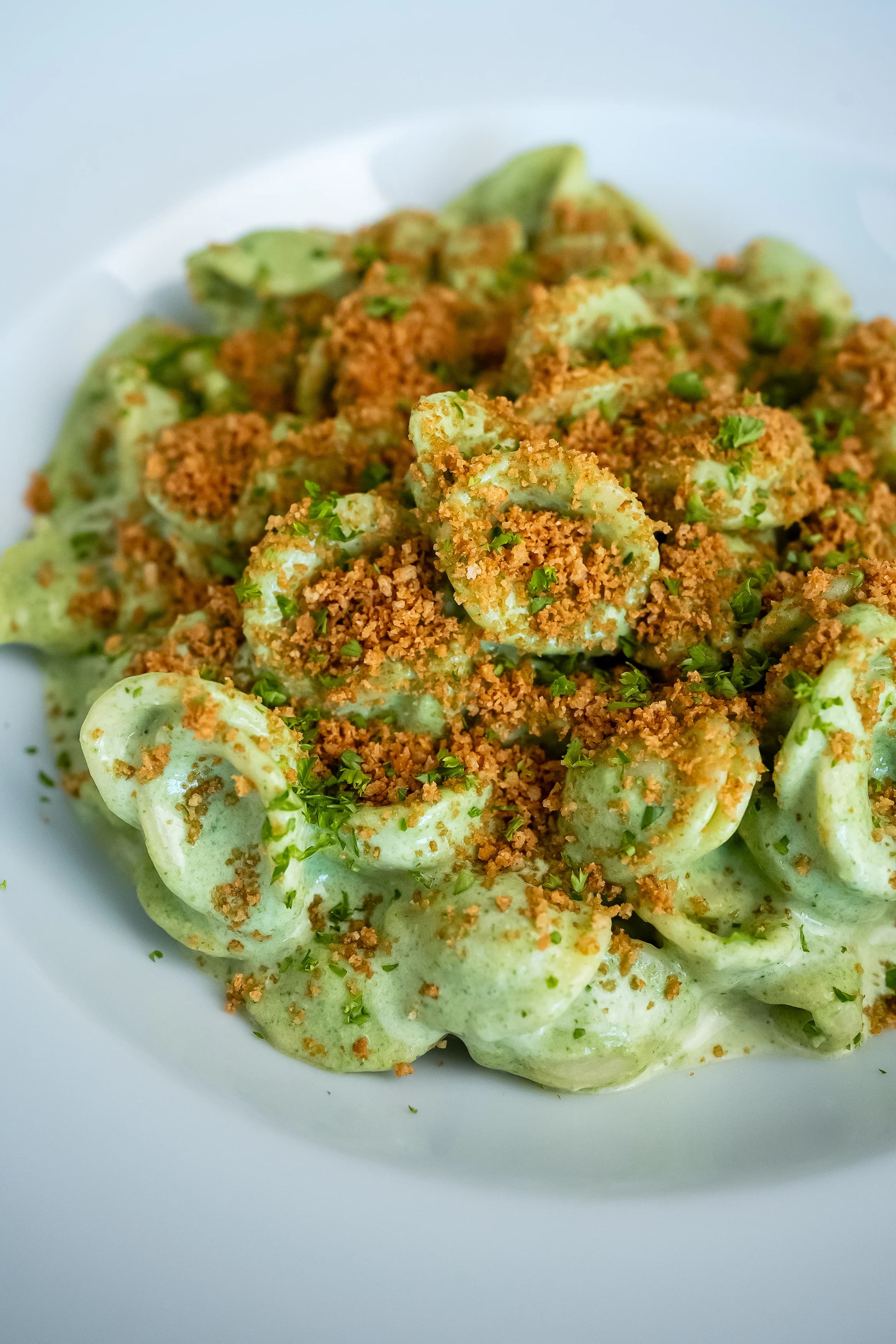Picture for Ricotta & Spinach Orecchiette