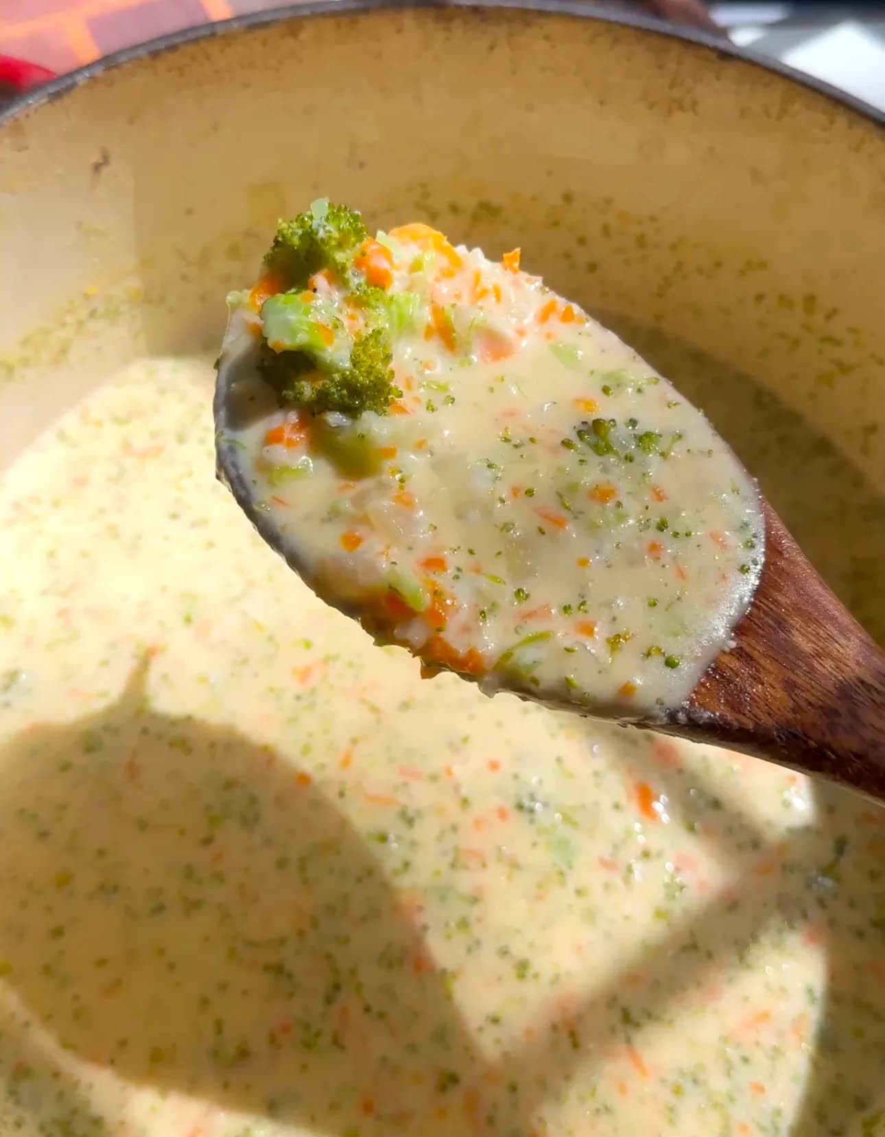 Picture for Buttermilk Broccoli Cheddar Soup