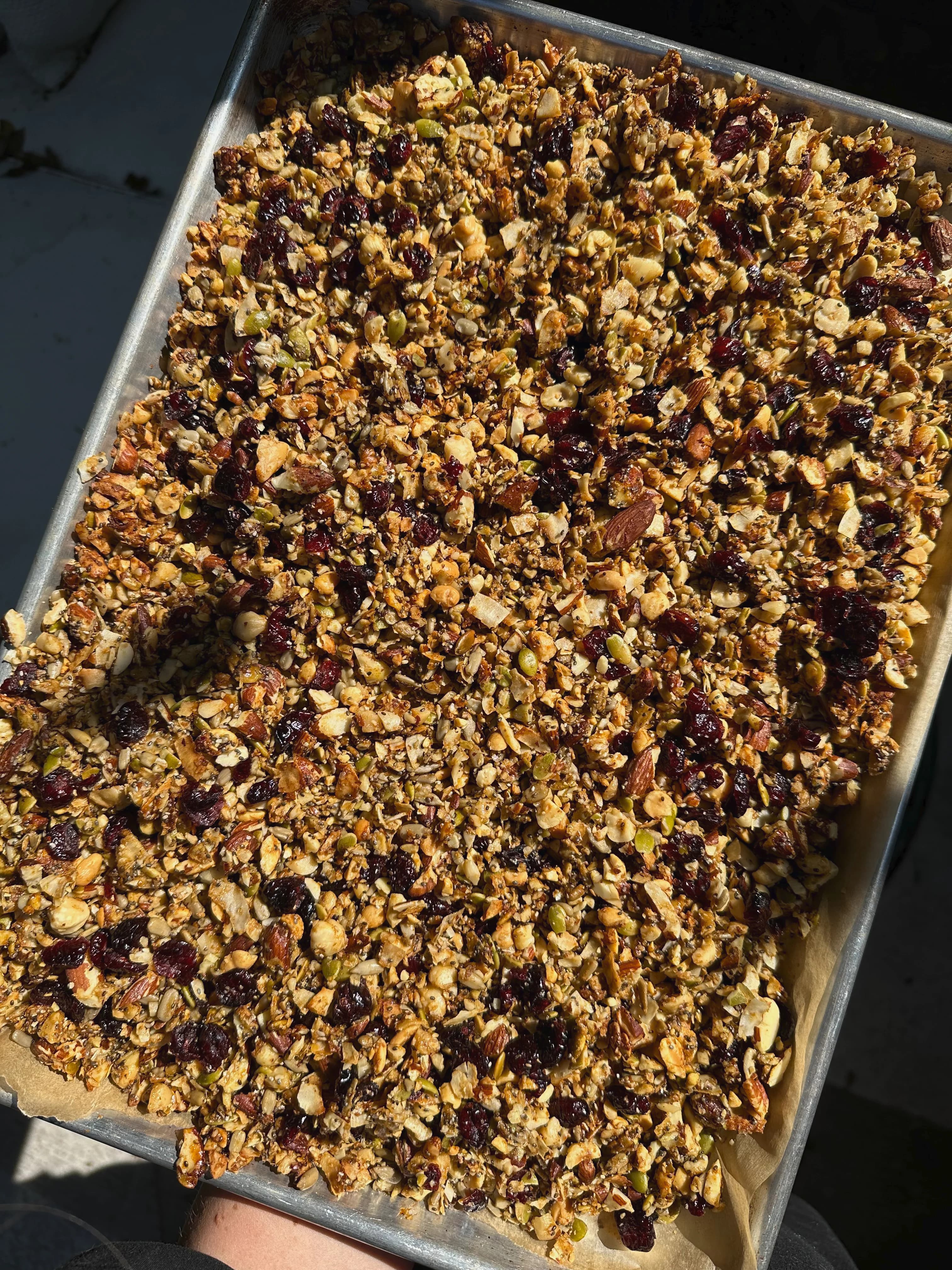 Picture for Lightly Sweetened Nut and Seed Granola