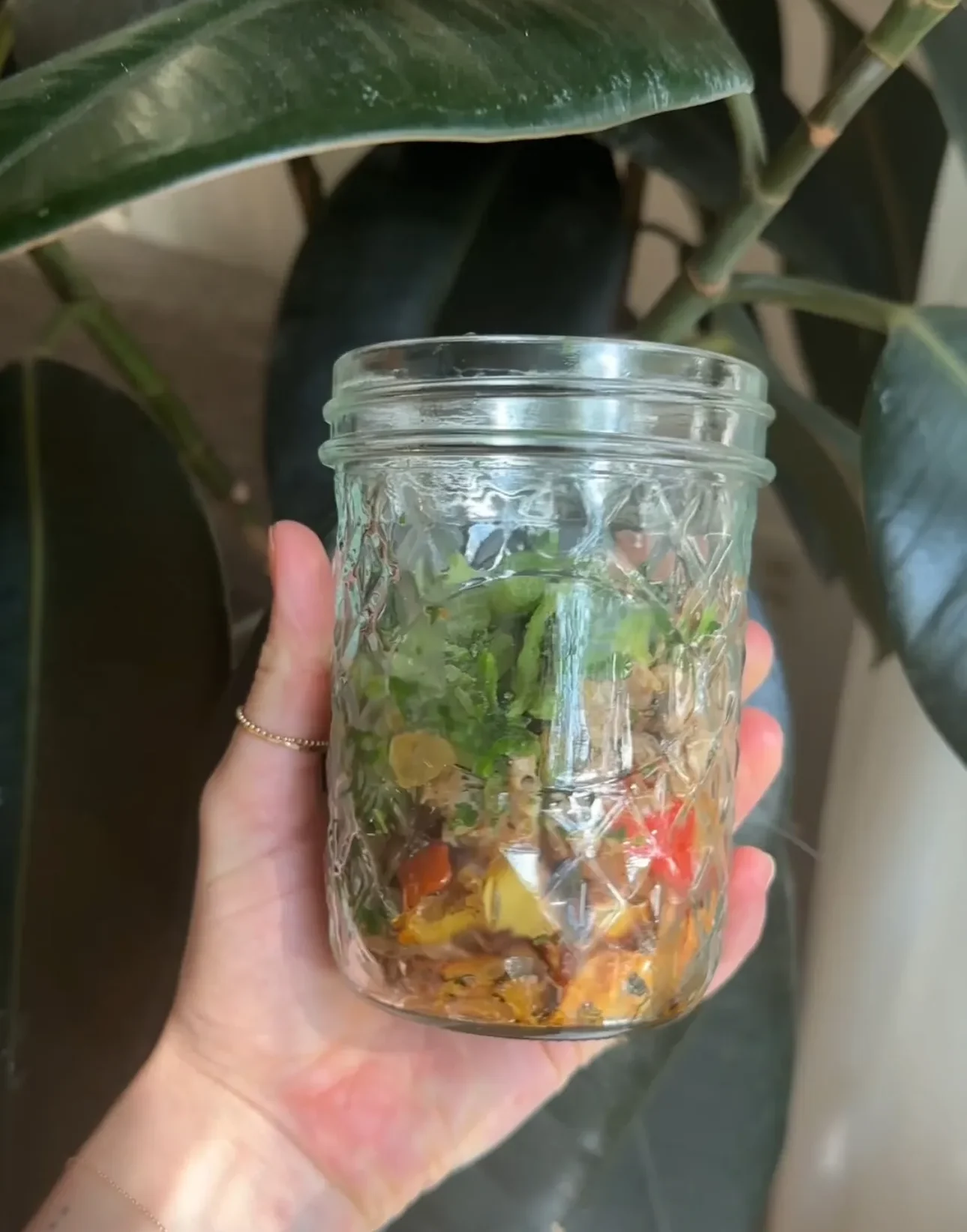 Picture for Postpartum Breakfast Freezer Cups