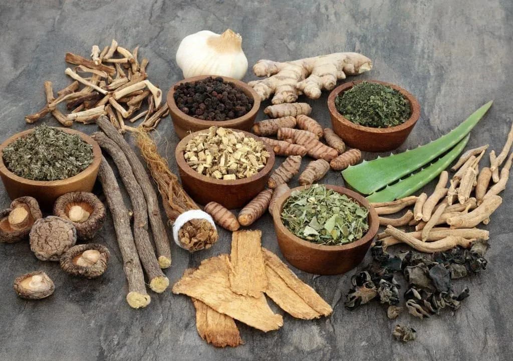 Picture for Tổng hợp các bài thuốc, cây thuốc nam chữa đau bụng kinh hiệu quả, an toàn