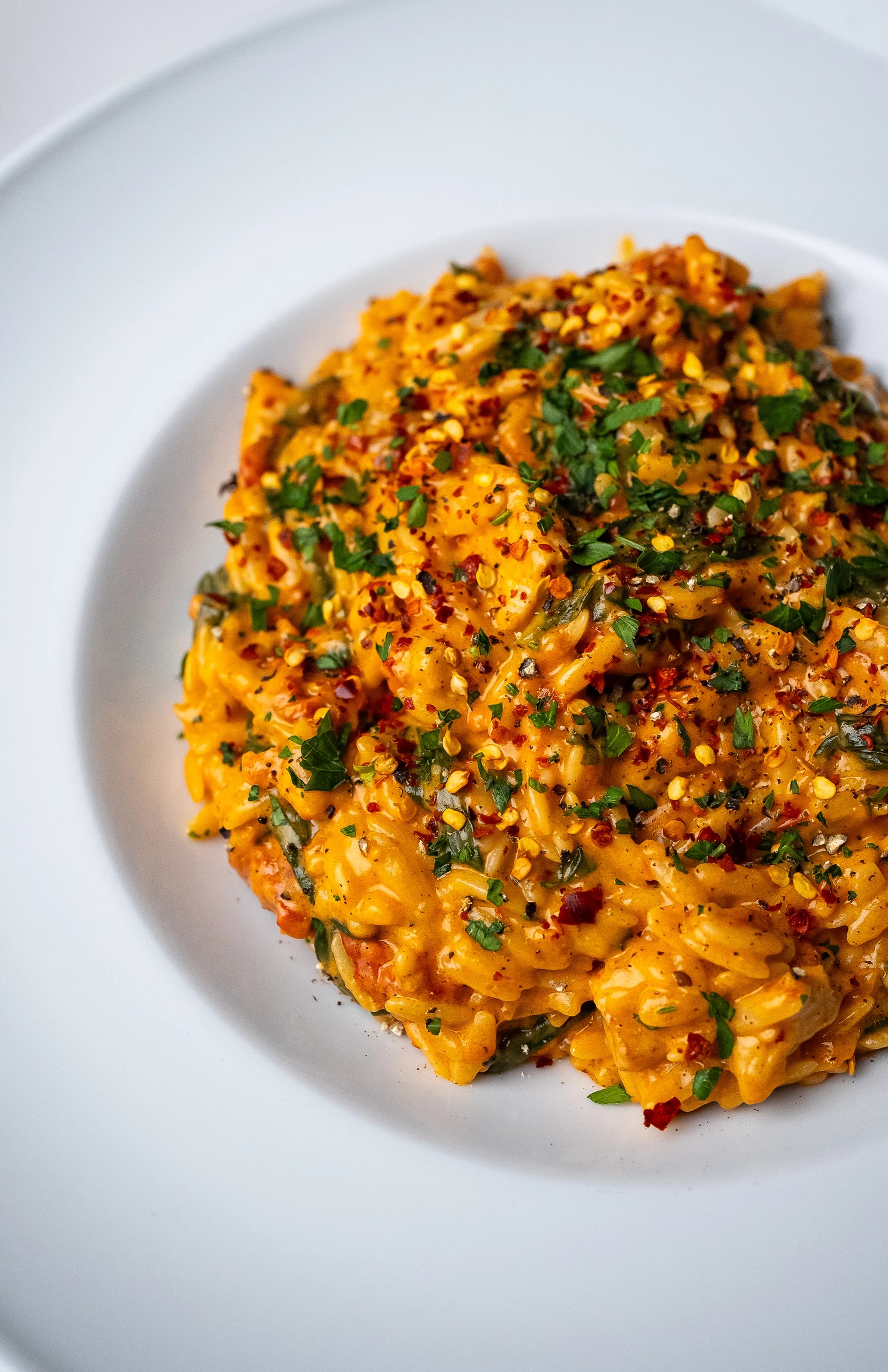 Picture for Creamy Chicken Orzo