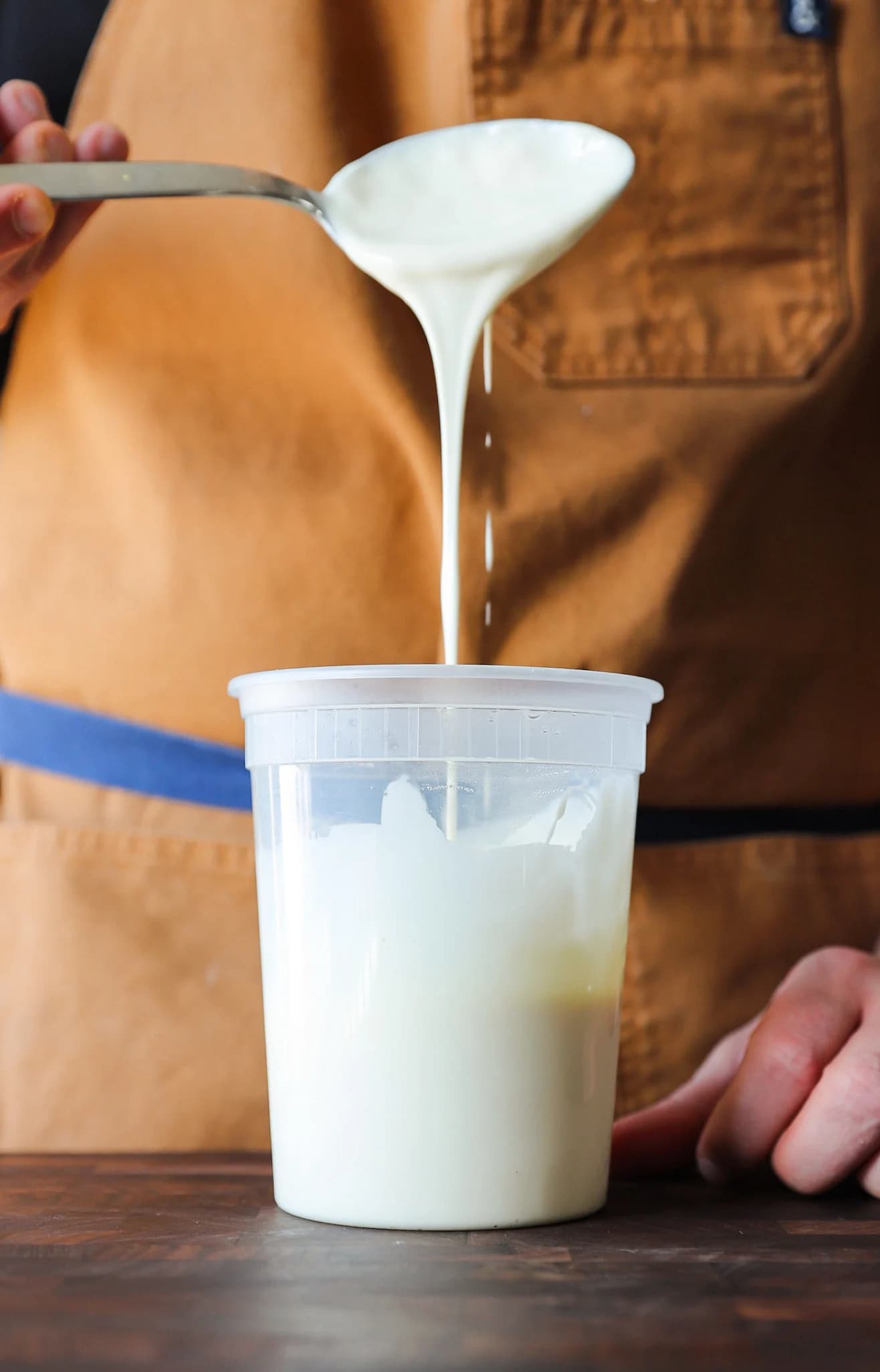 Picture for Taleggio Cheese Sauce