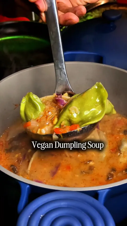 Picture for Vegan Dumpling Soup 