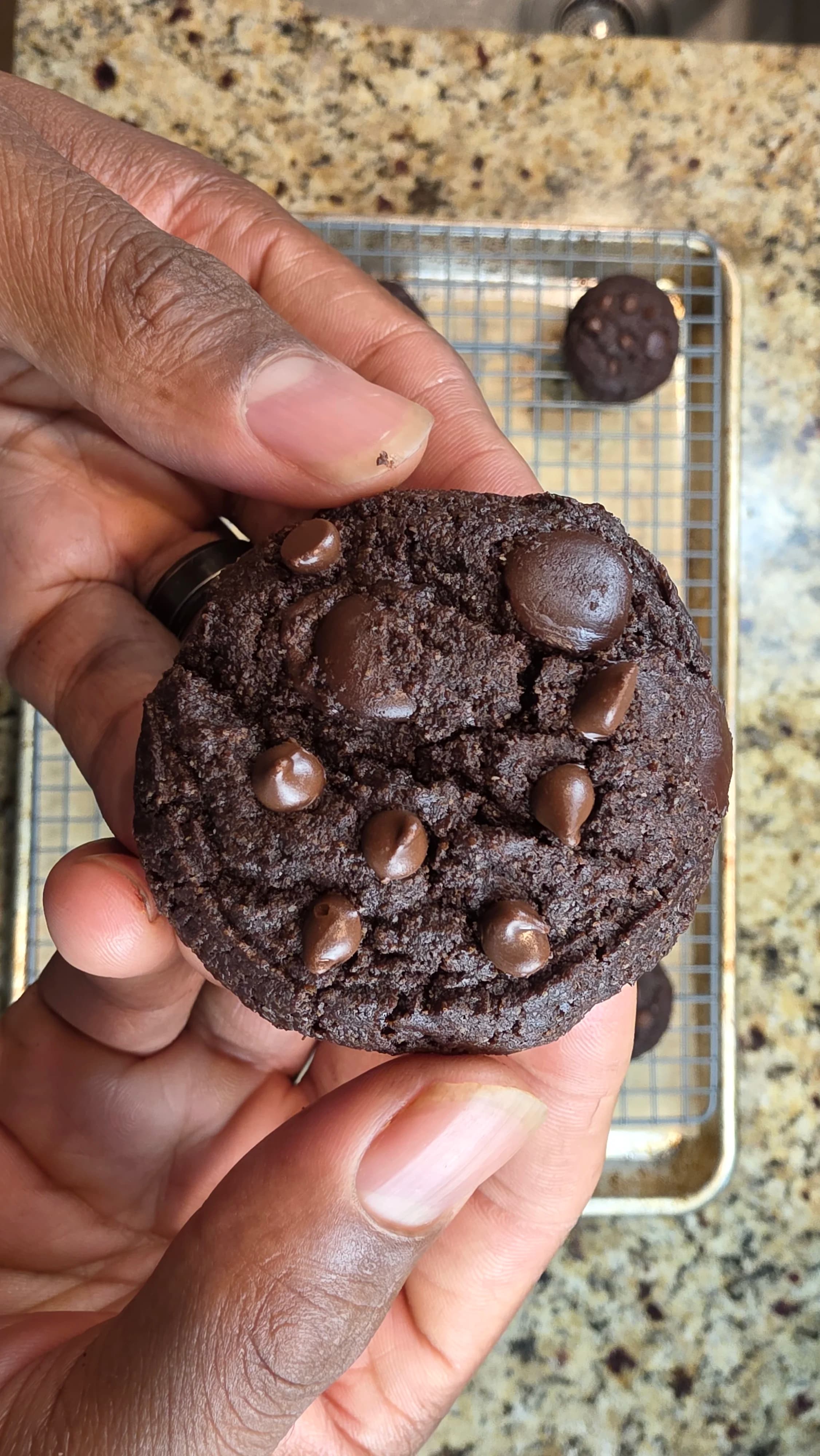 Picture for Gluten Free Double Chocolate Chip Cookies
