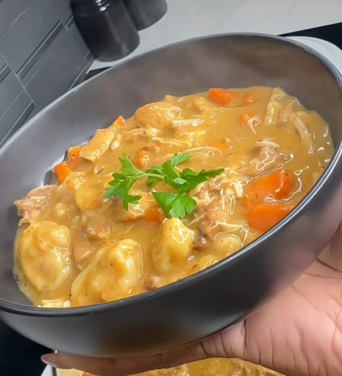 Picture of Chicken and Dumplings with Can Biscuits