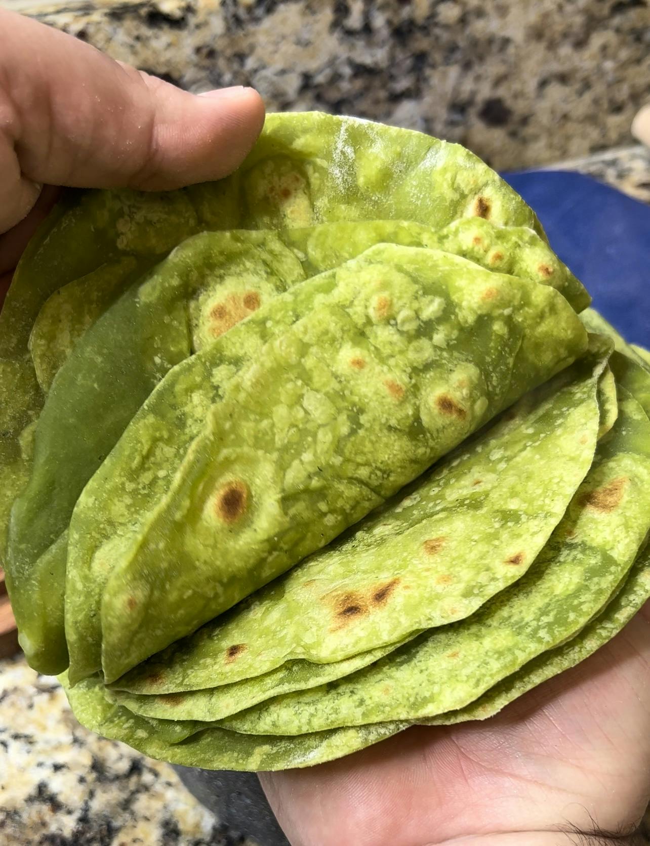 Picture for Spinach Flour Tortillas