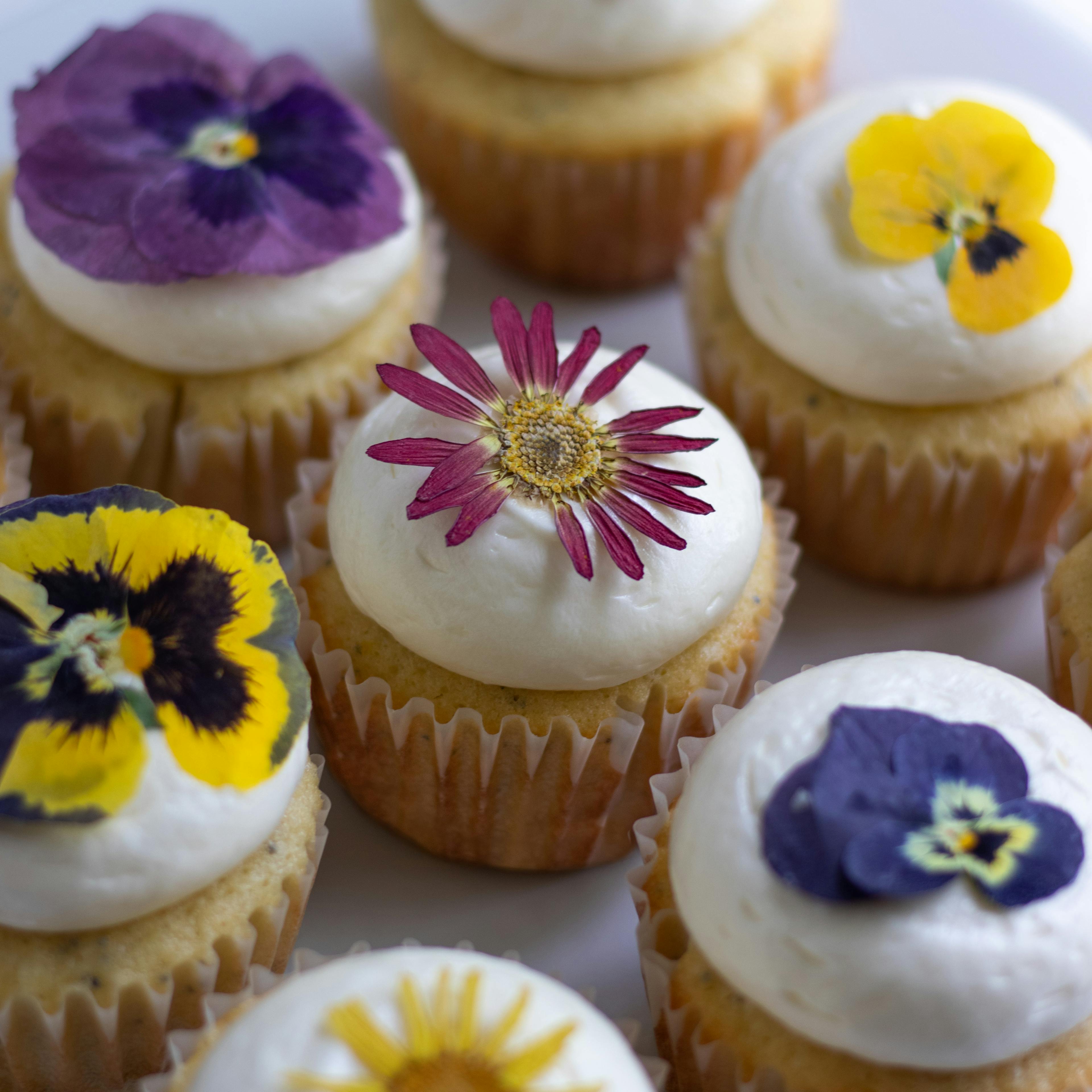 Picture for Lemon Poppyseed Cupcakes