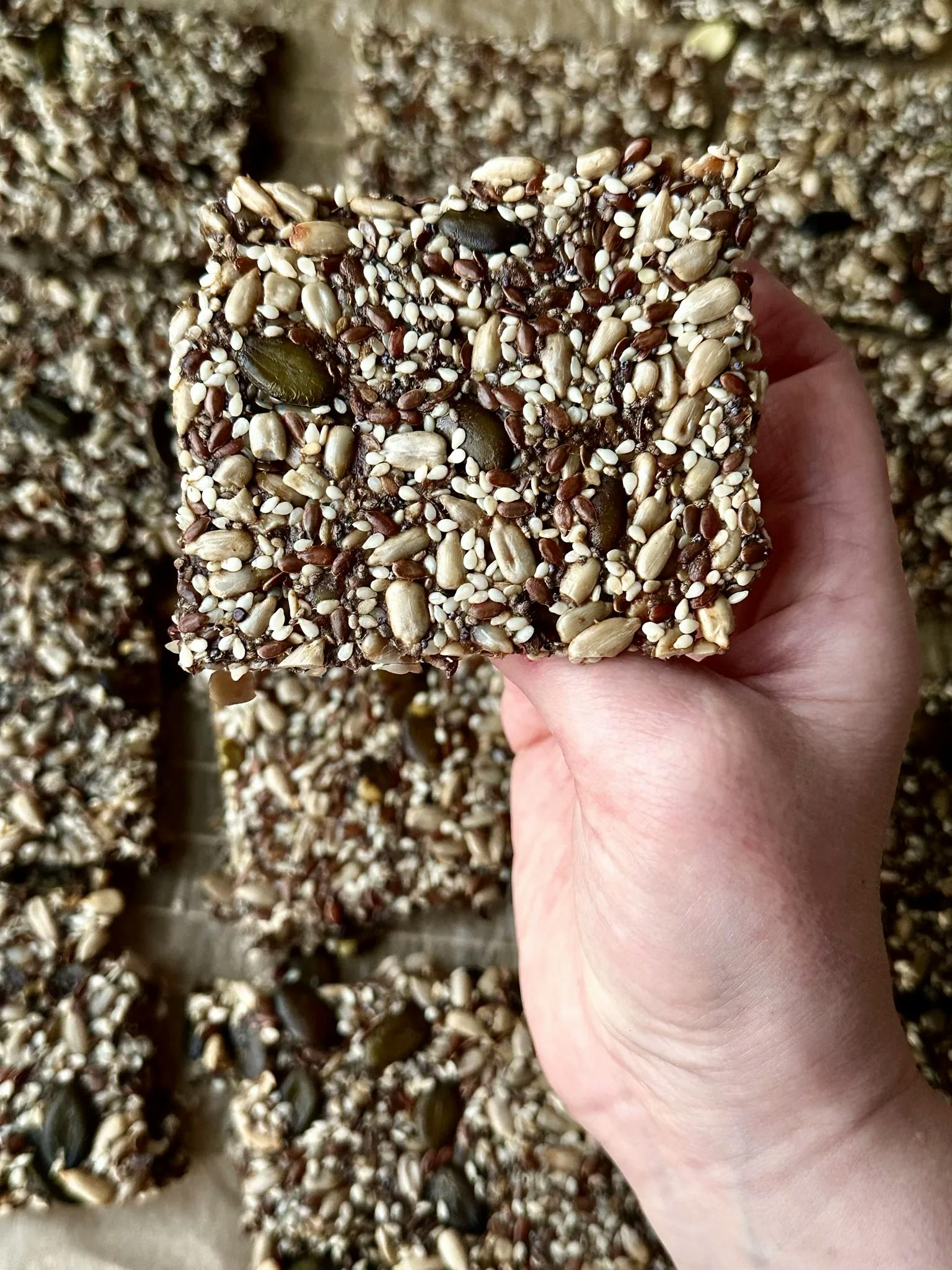 Picture of Healthy Seed Crackers 