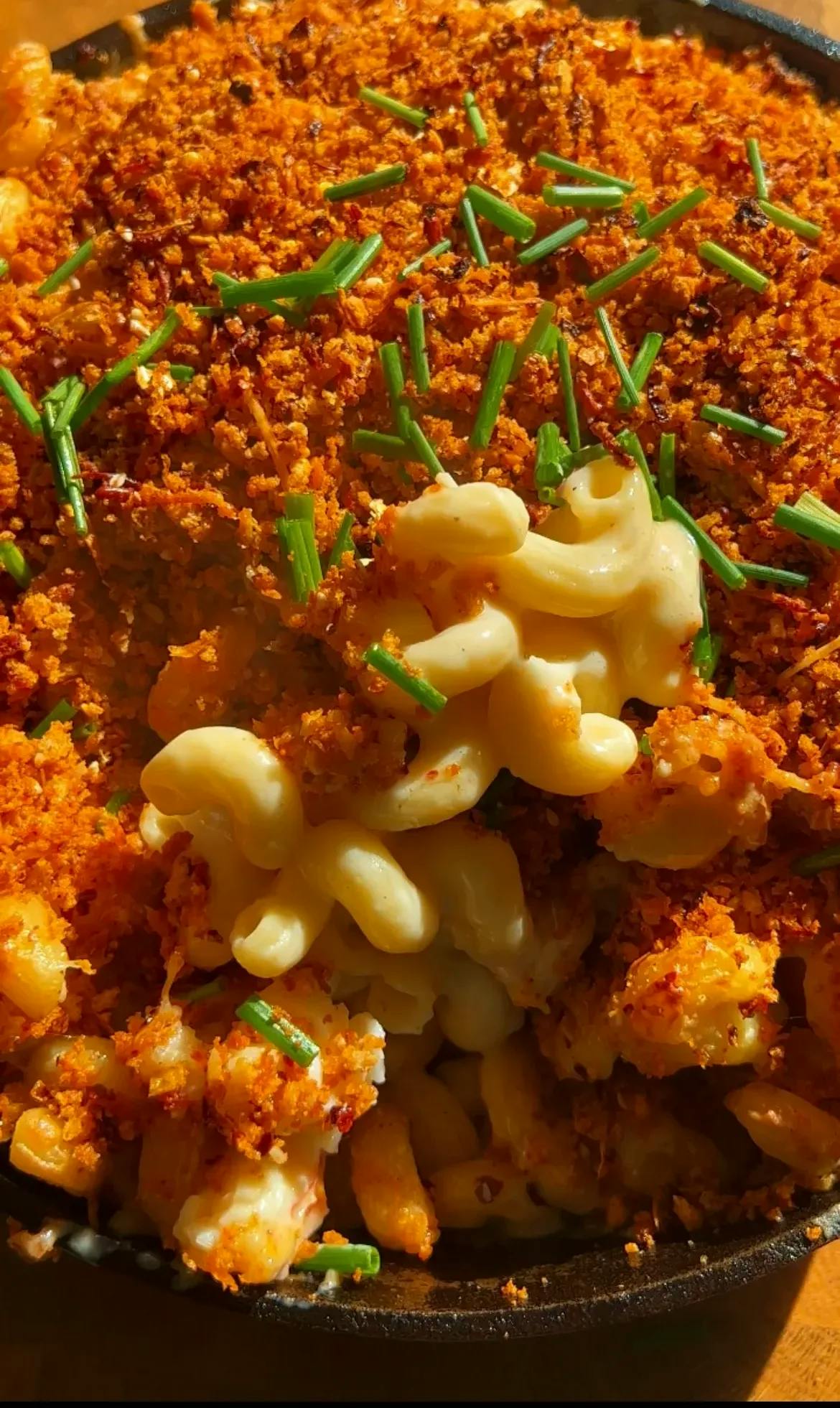 Picture for 4-Cheese Lobster Mac & Cheese with Fried Garlic & Chili Panko Topping