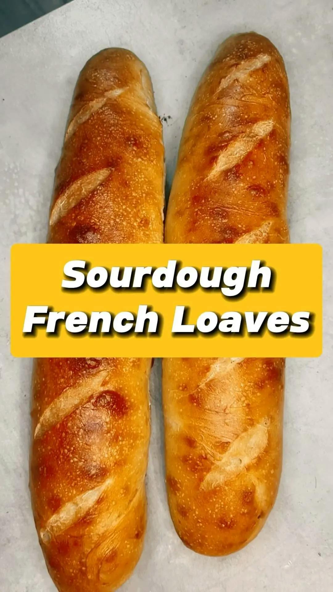 Picture for SOURDOUGH FRENCH LOAVES